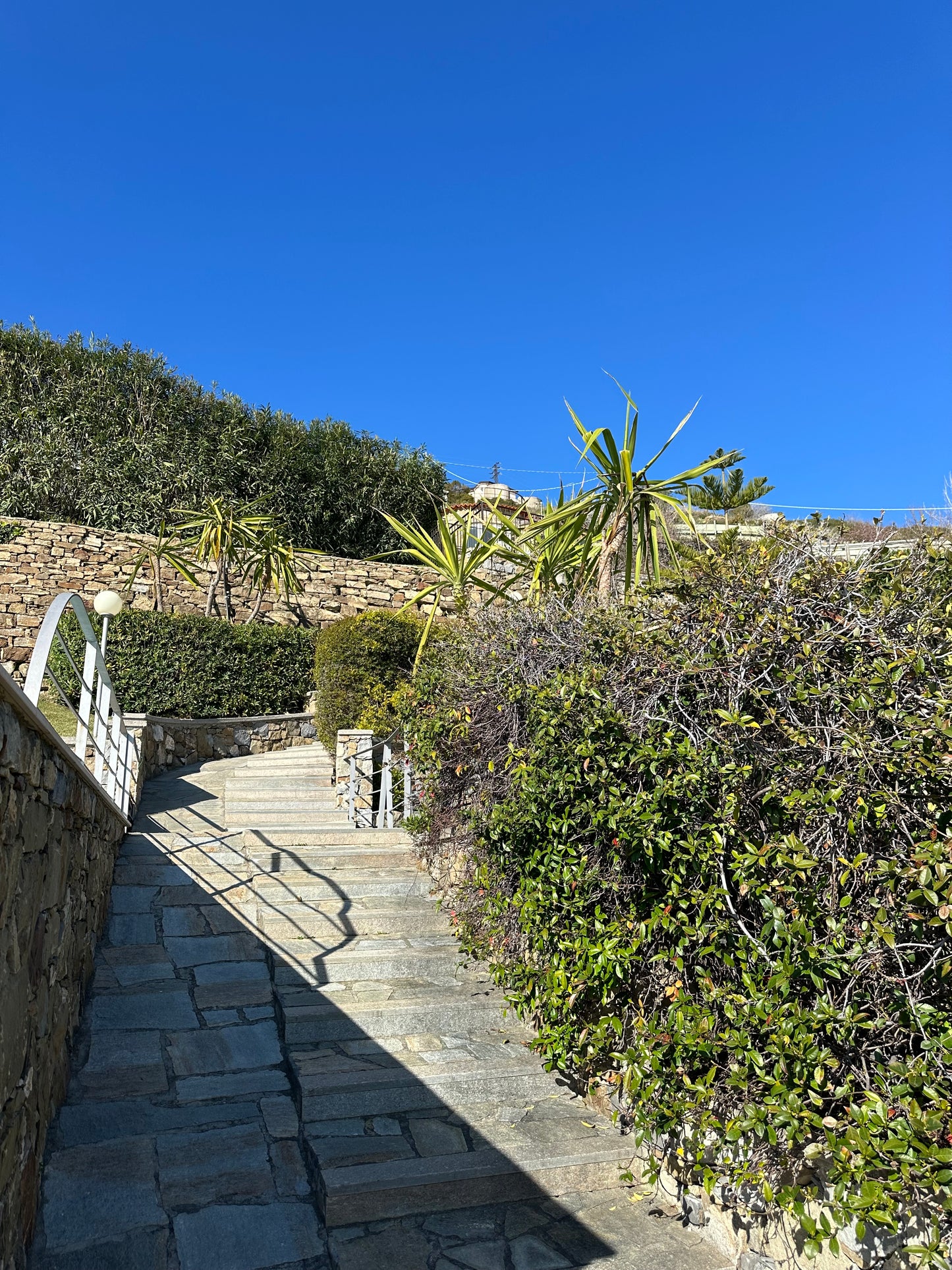 [ "VISTA MARE BLU" // SANREMO