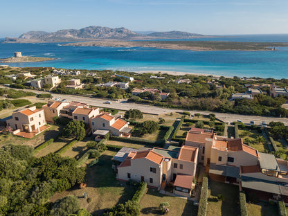 [ "PELOSA DREAM TRILO" // STINTINO ]