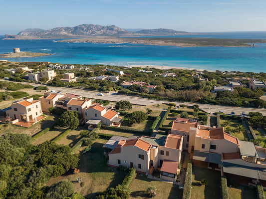 [ "PELOSA DREAM TRILO" // STINTINO ]