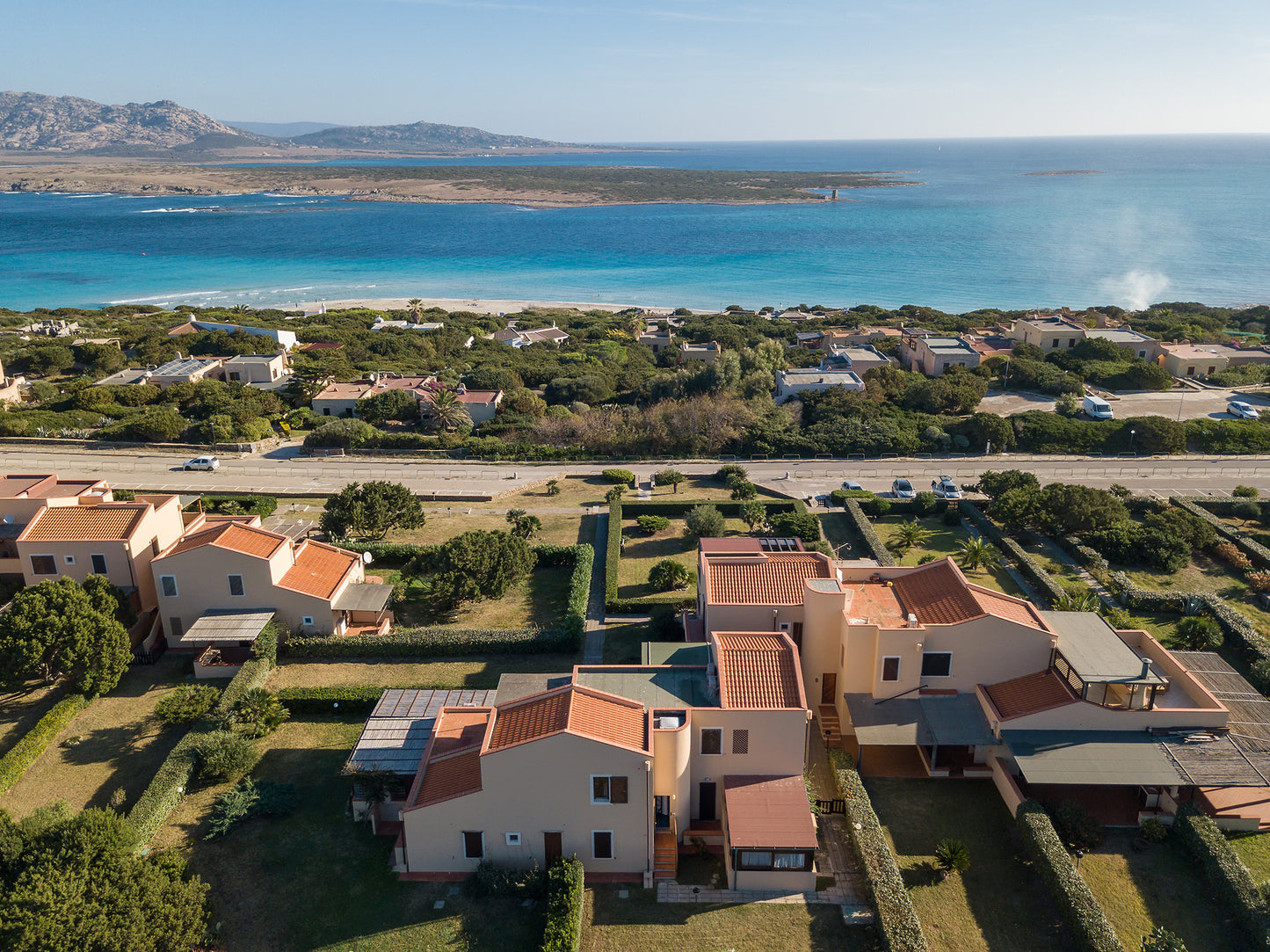 [ "PELOSA DREAM TRILO" // STINTINO ]