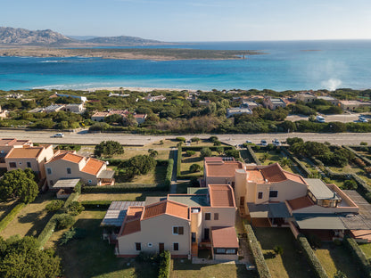 [ "PELOSA DREAM TRILO" // STINTINO ]