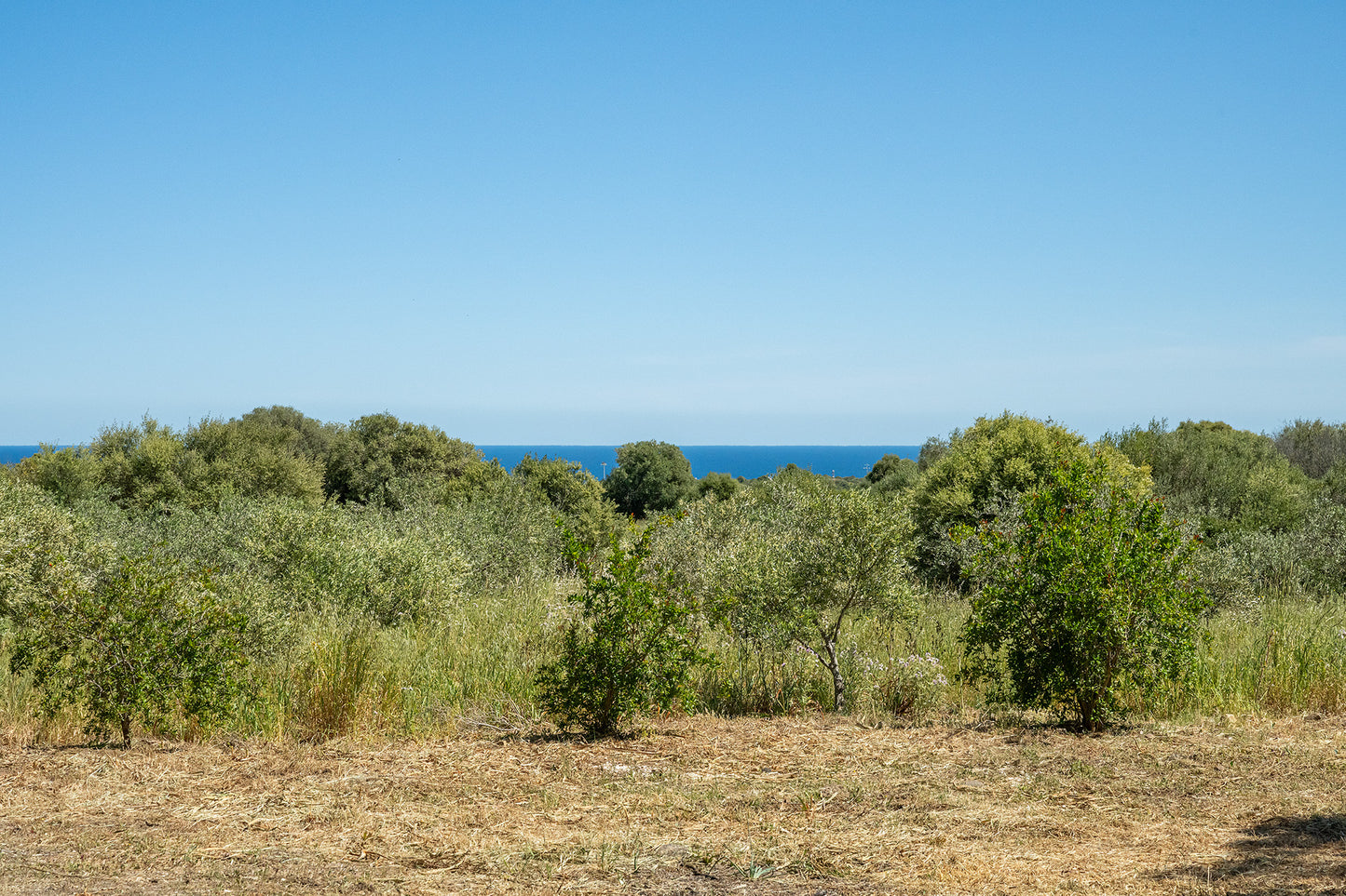 [ "VILLETTA GRECU NATURE" // OROSEI ]