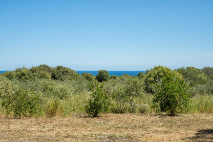 [ "VILLETTA GRECU NATURE" // OROSEI ]