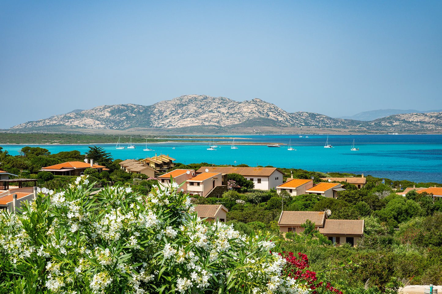 [ "VILLA ASINARA VIEW" // STINTINO ]