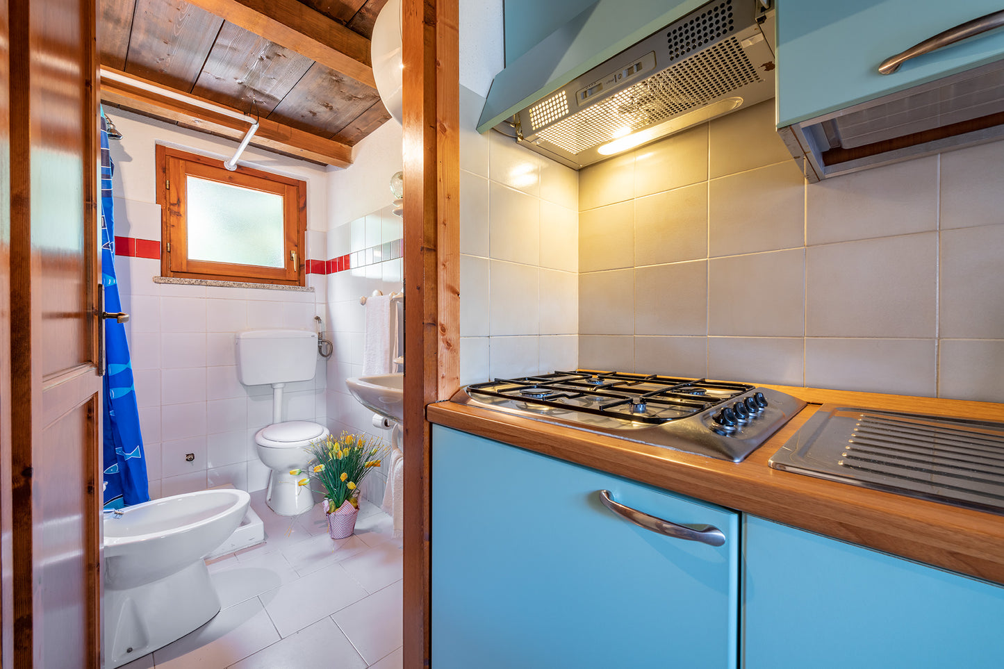 [ "BILO SANTATEO SOPPALCO" // SAN TEODORO ]