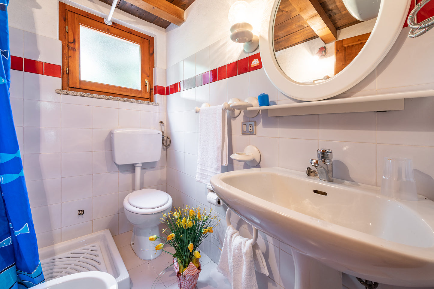 [ "BILO SANTATEO SOPPALCO" // SAN TEODORO ]