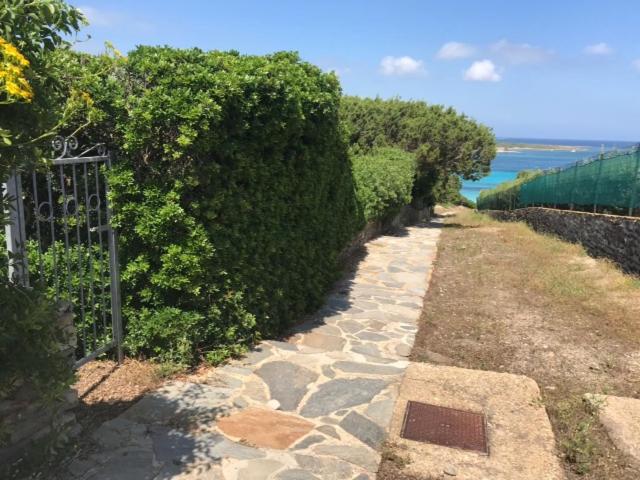 [ "CASA VISTA LA PELOSA" // STINTINO ]