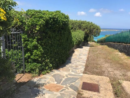 [ "CASA VISTA LA PELOSA" // STINTINO ]