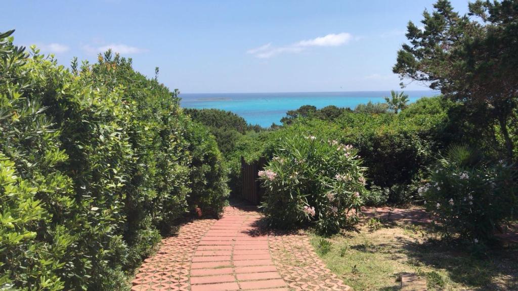 [ "CASA VISTA LA PELOSA" // STINTINO ]