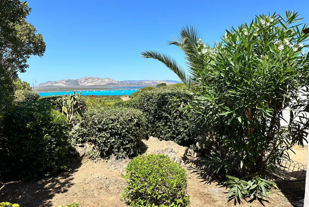[ "VILLA STINTINO VIEW" // STINTINO ]