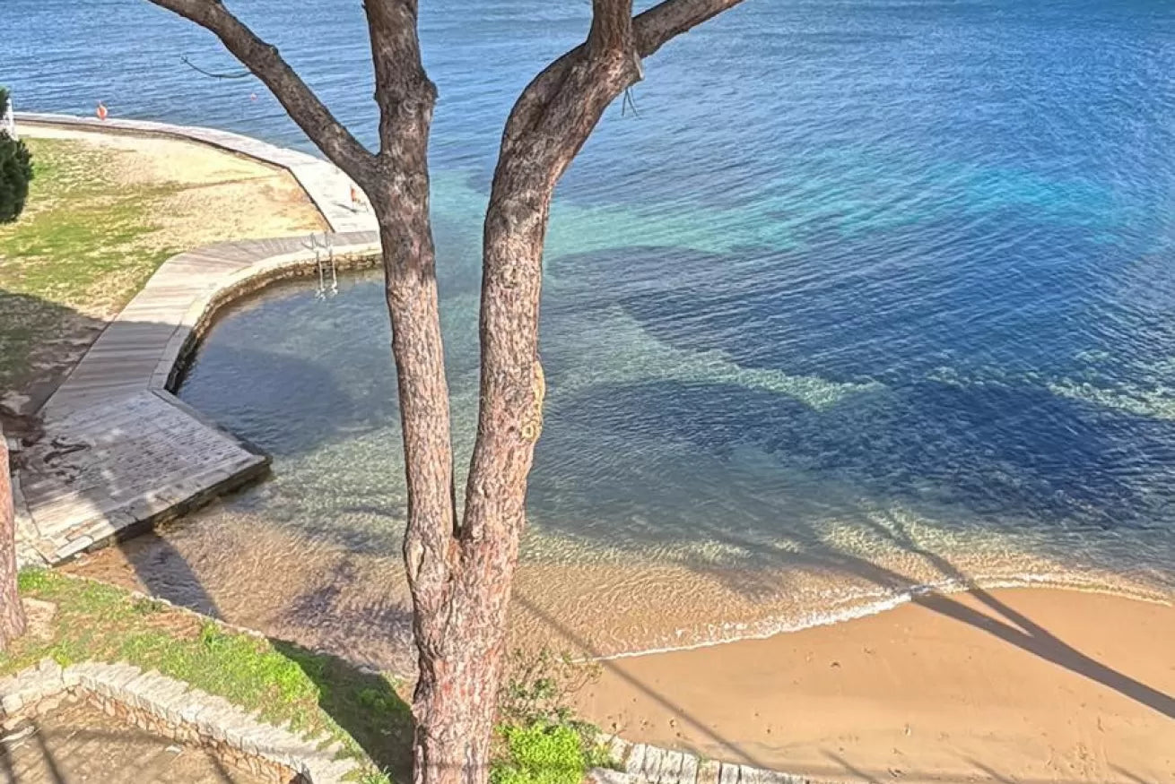 [ "BILO PORTO BLU" // PALAU ]