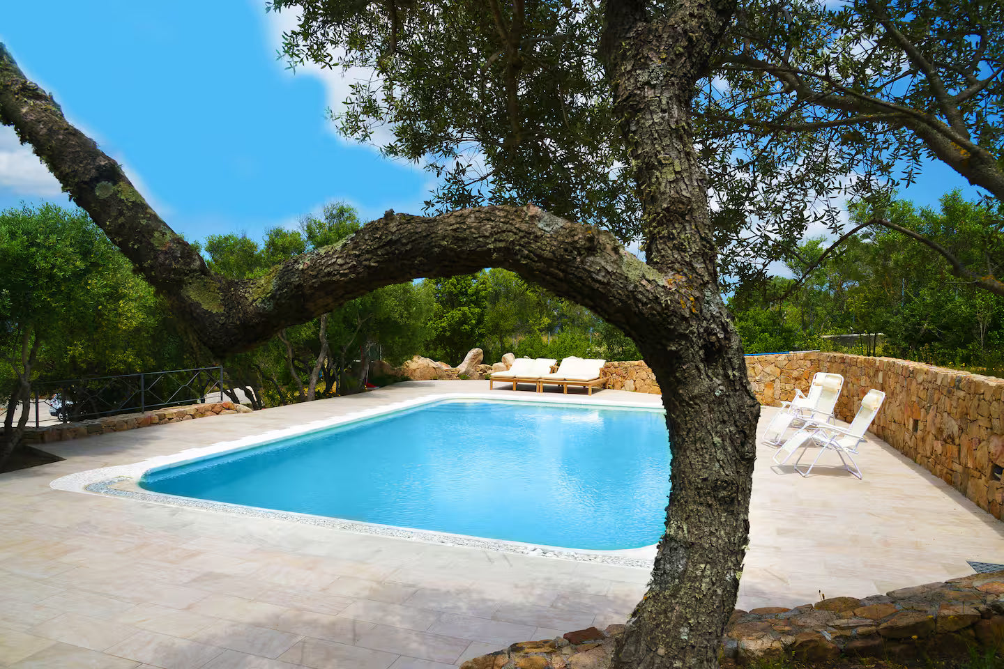 [ "VILLA OLIVASTRO" // ARZACHENA ]