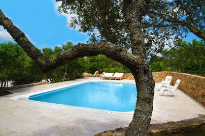 [ "VILLA OLIVASTRO" // ARZACHENA ]