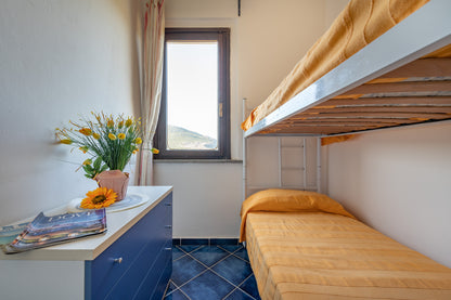 [ "PELOSA DREAM TRILO" // STINTINO ]