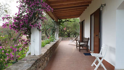 [ "VILLA OASI SMERALDA" // SAN TEODORO ]