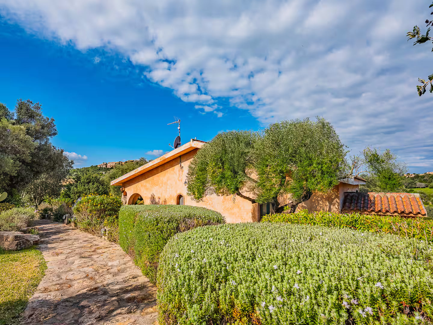 [ "VILLA CALA BREZZA" / ARZACHENA ]