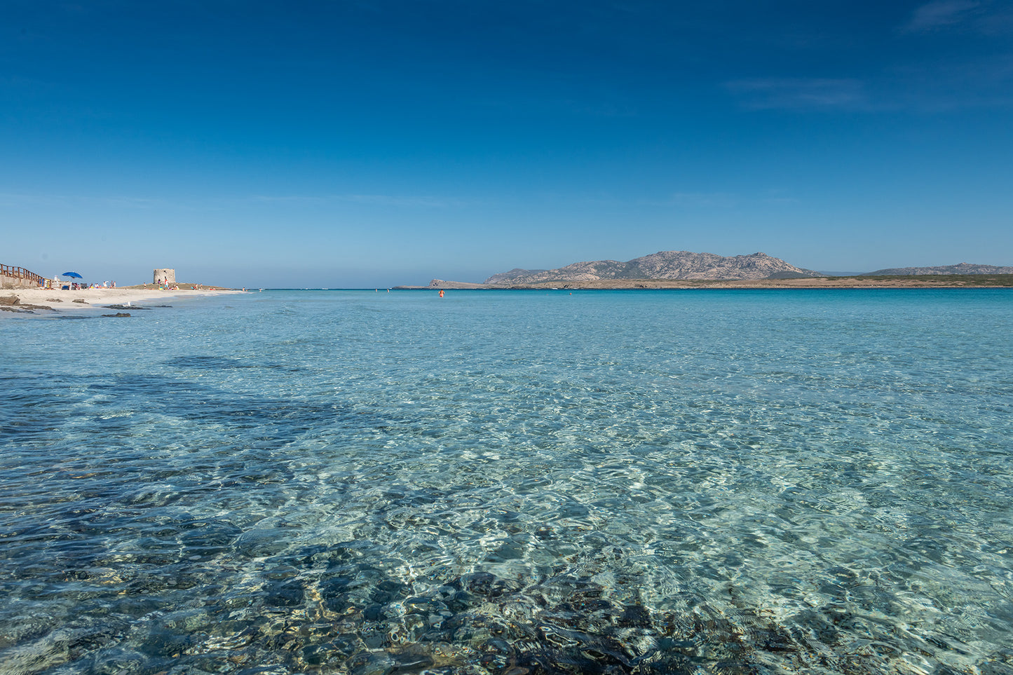 [ "PELOSA DREAM TRILO" // STINTINO ]