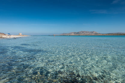 [ "PELOSA DREAM TRILO" // STINTINO ]