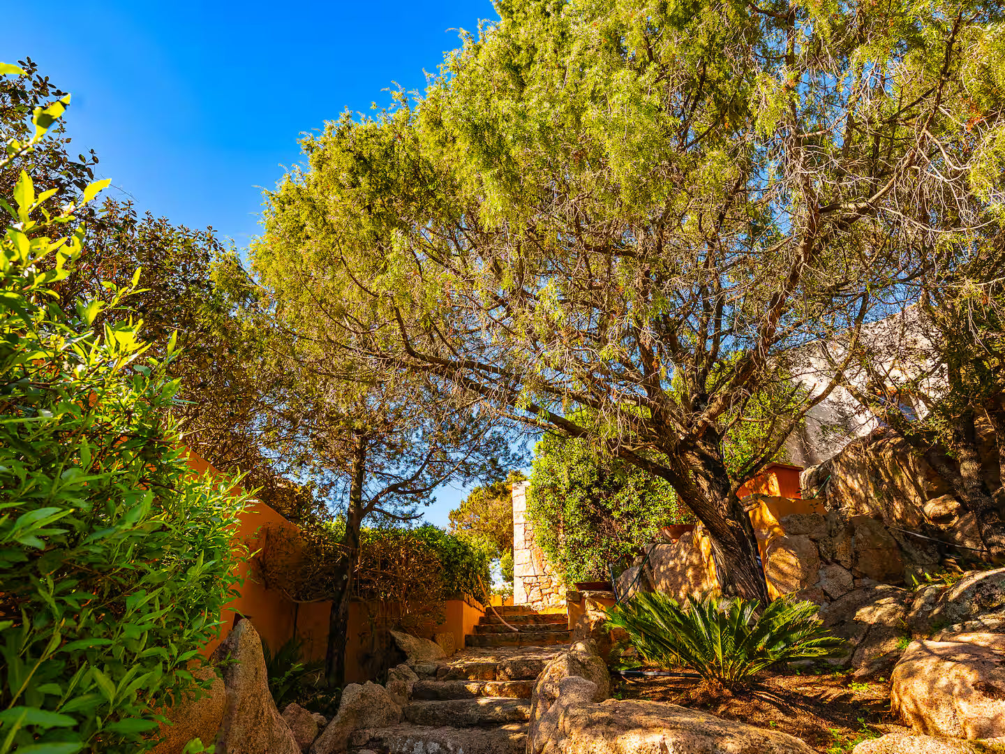 [ "VILLA BLUE" // PORTO CERVO ]