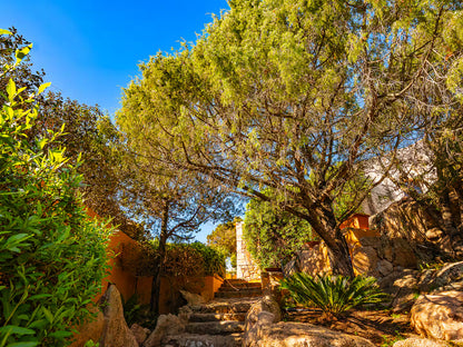 [ "VILLA BLUE" // PORTO CERVO ]