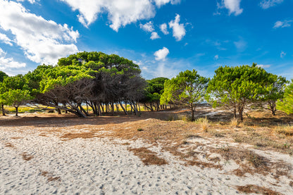 [ "VILLA MIRTO TRILO 1" // SINISCOLA ]