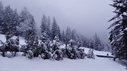 [ "CHALET ALPELIGHT" // SAN VITO CADORE // MILANO-CORTINA 2026 ]