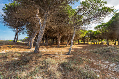 [ "VILLA MIRTO TRILO 3" // SINISCOLA ]