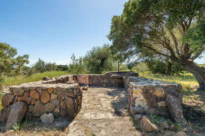 [ "VILLETTA GRECU NATURE" // OROSEI ]