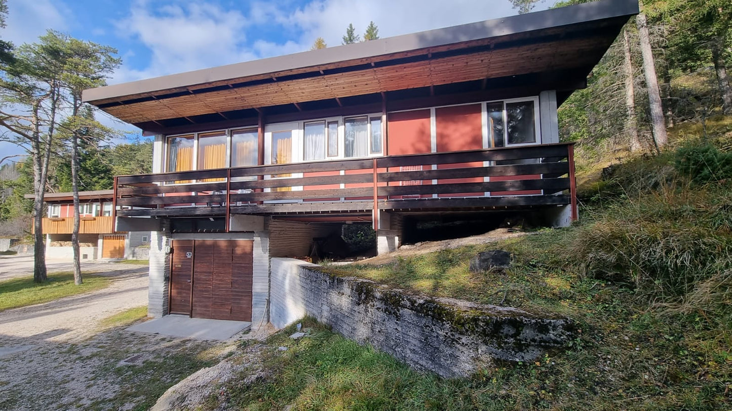 [ "CHALET FLO" // BORCA DI CADORE ]