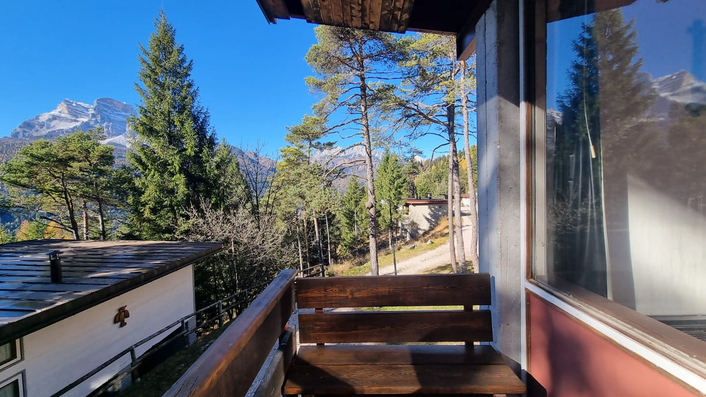 [ "CHALET FLO" // BORCA DI CADORE ]