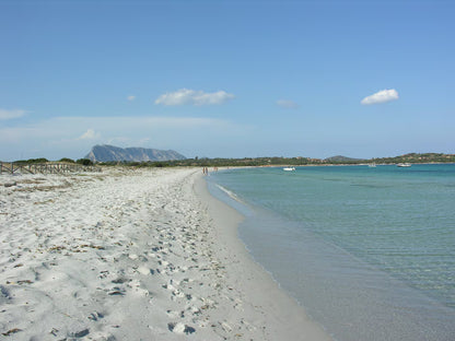 [ "VILLA OASI SMERALDA" // SAN TEODORO ]