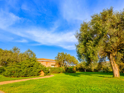 [ "VILLA GINEPRO" // ARZACHENA ]