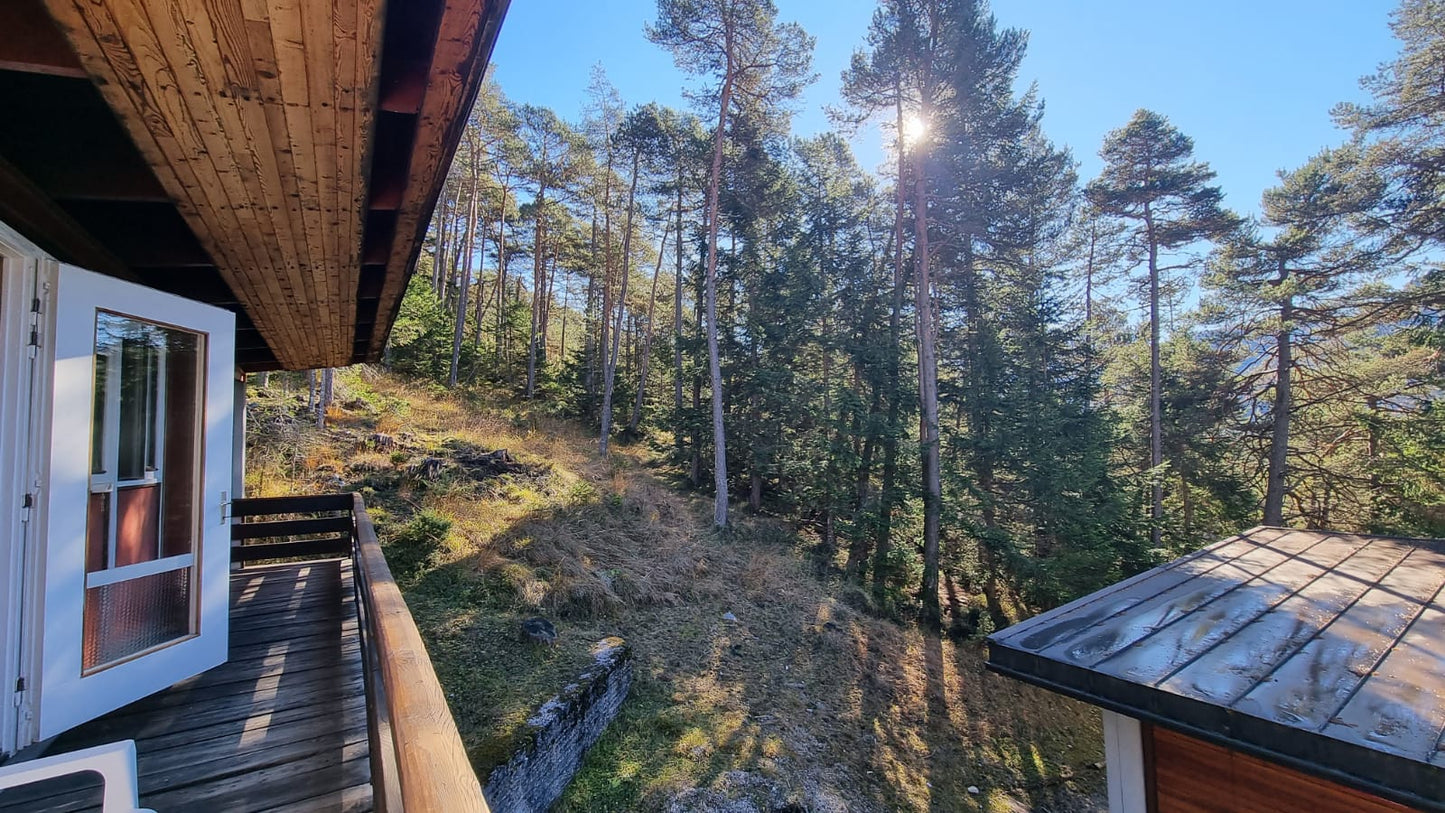 [ "CHALET FLO" // BORCA DI CADORE ]