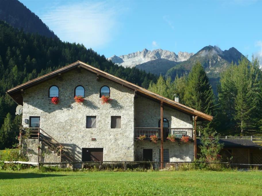 [ "CHALET VAL DI STELLE" // VERMIGLIO, VAL DI SOLE ]
