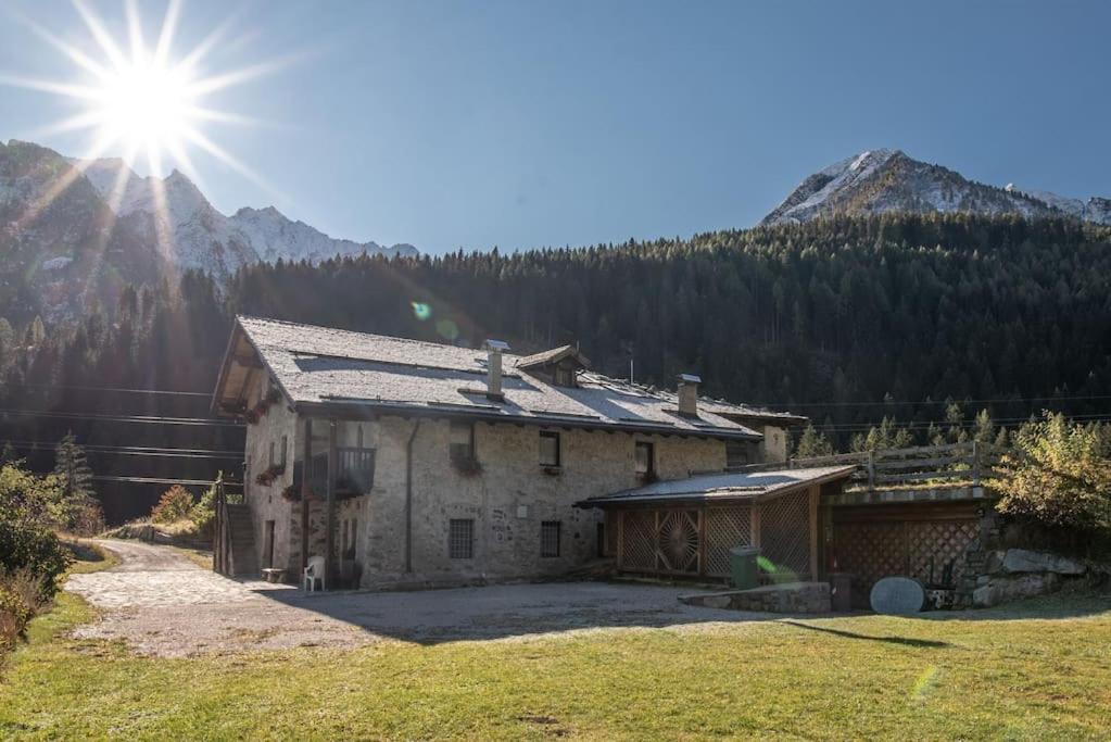 [ "CHALET VAL DI STELLE" // VERMIGLIO, VAL DI SOLE ]