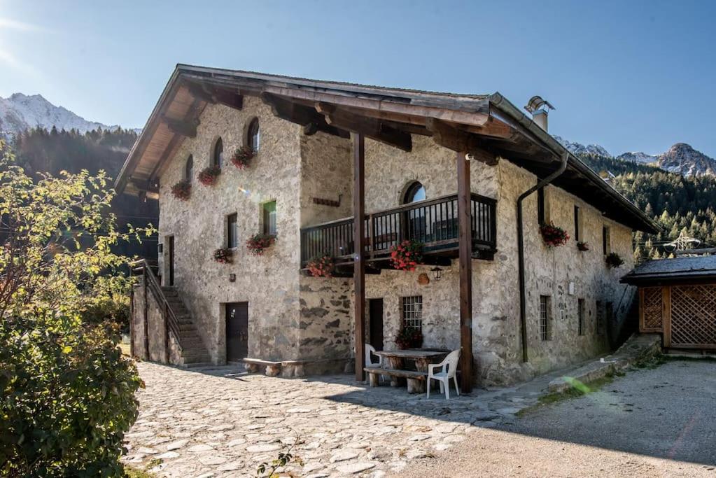 [ "CHALET VAL DI STELLE" // VERMIGLIO, VAL DI SOLE ]