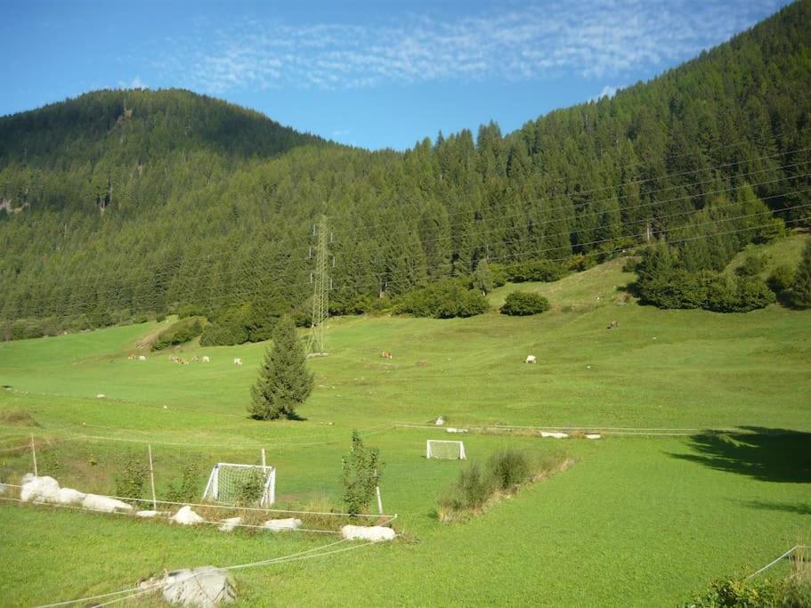 [ "CHALET VAL DI STELLE" // VERMIGLIO, VAL DI SOLE ]