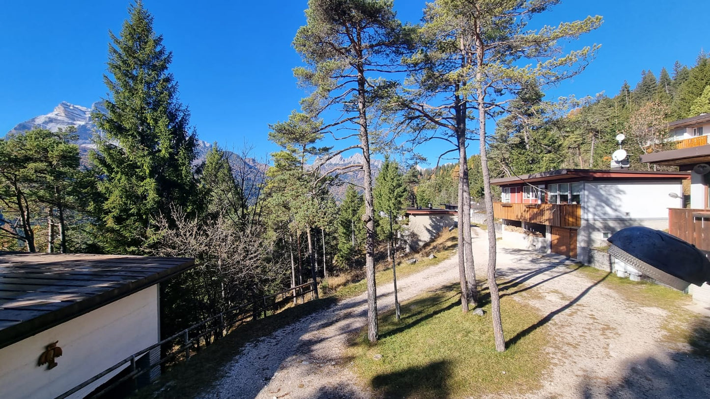 [ "CHALET FLO" // BORCA DI CADORE ]
