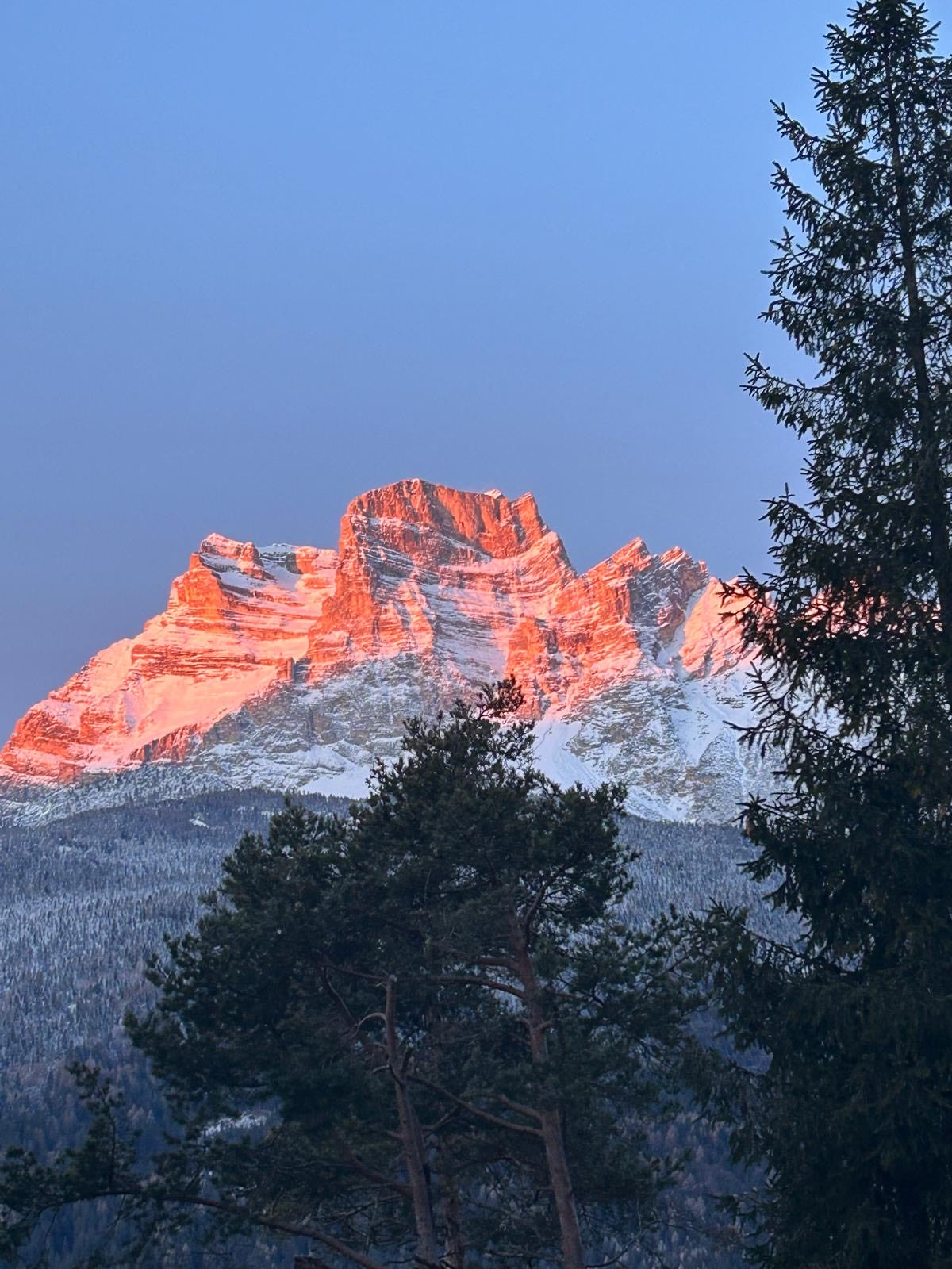 [ "CHALET FLO" // BORCA DI CADORE ]