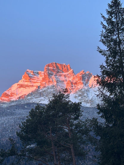 [ "CHALET FLO" // BORCA DI CADORE ]