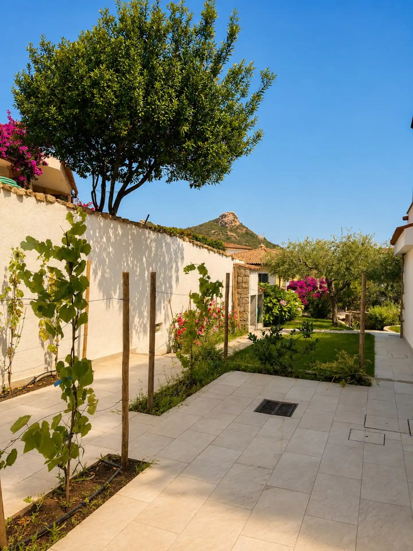 [ "TRILOCALE PANTELLERIA GARDEN CON PATIO" // CANNIGIONE ]