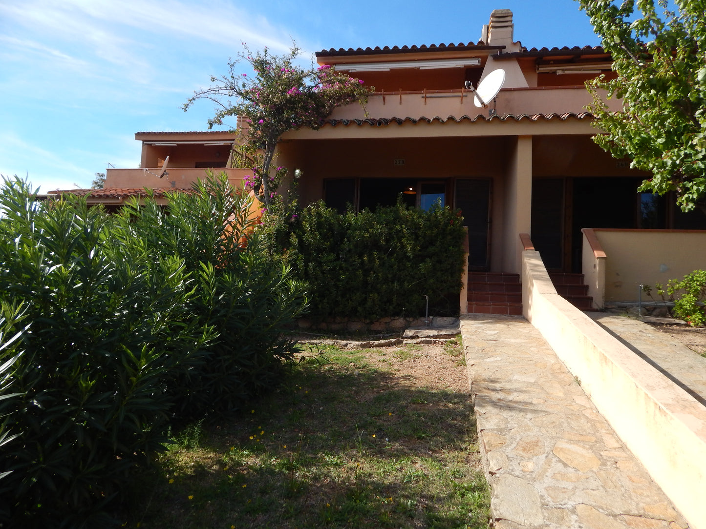 [ "BILO OLEANDRO" // PORTO ISTANA, OLBIA ]