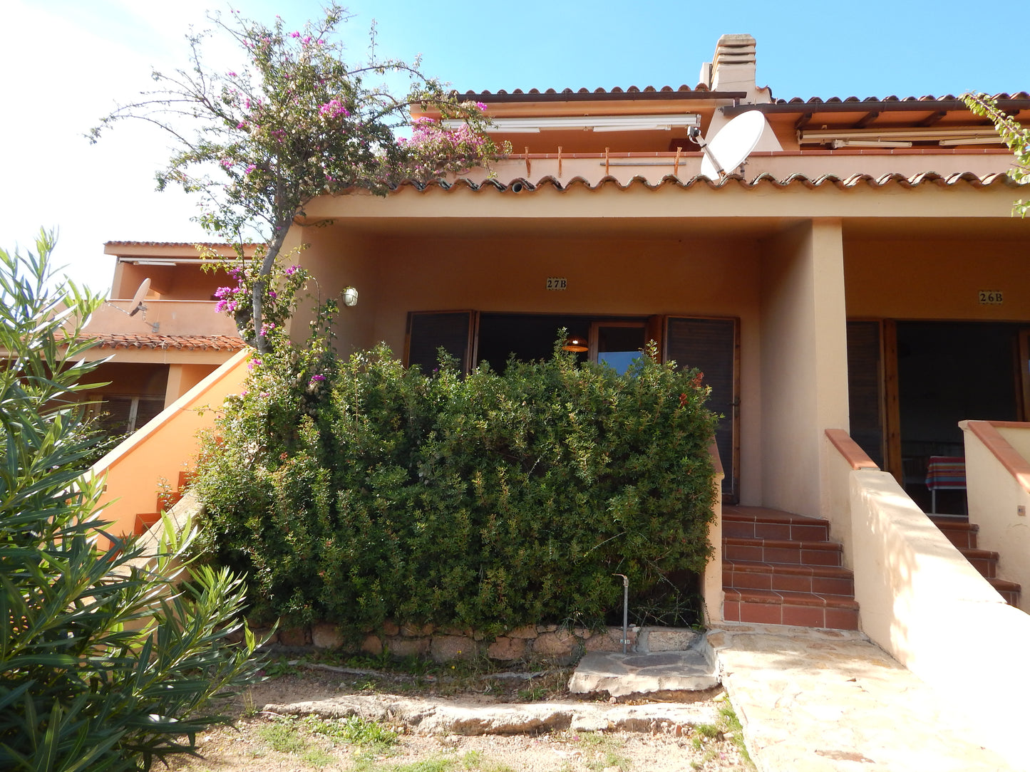 [ "BILO OLEANDRO" // PORTO ISTANA, OLBIA ]