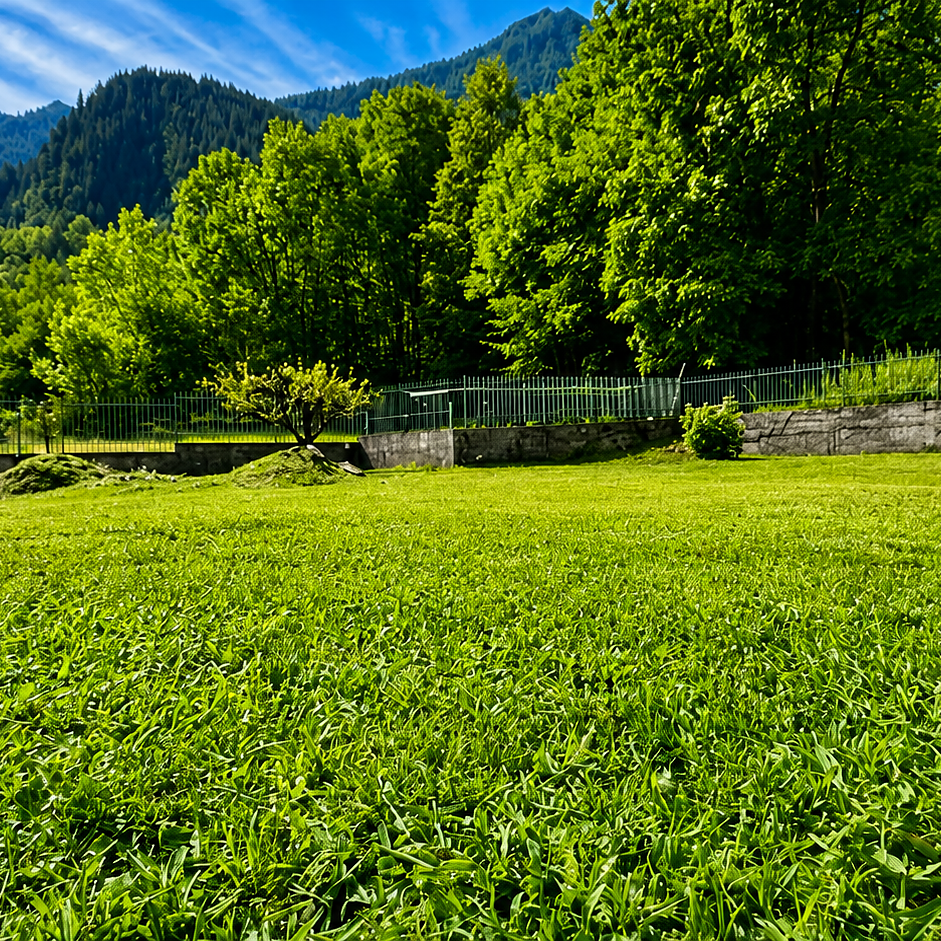 [ "VILLA VENERE" VALLE ANTRONA // ANTRONA SCHIERANCO ]