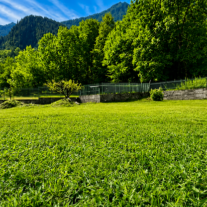 [ "VILLA VENERE" VALLE ANTRONA // ANTRONA SCHIERANCO ]