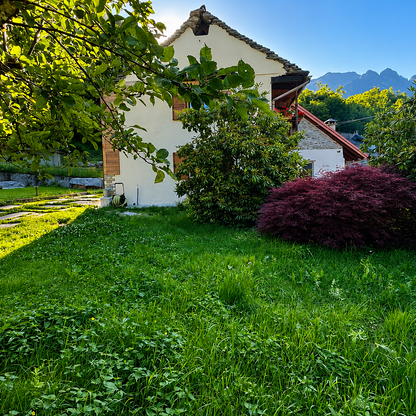 [ "VILLA VENERE" VALLE ANTRONA // ANTRONA SCHIERANCO ]