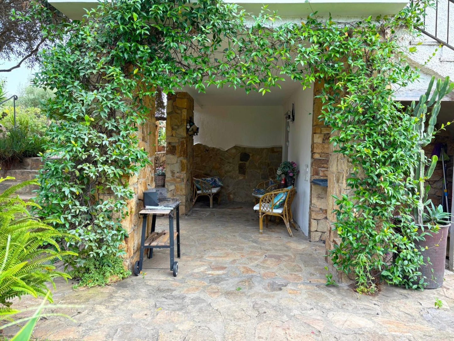 [ "GARDEN OASIS" // SAN TEODORO ]