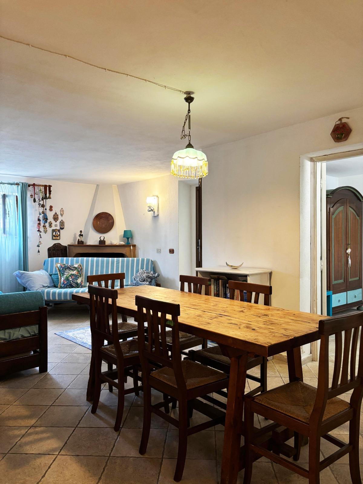 [ "GARDEN OASIS" // SAN TEODORO ]