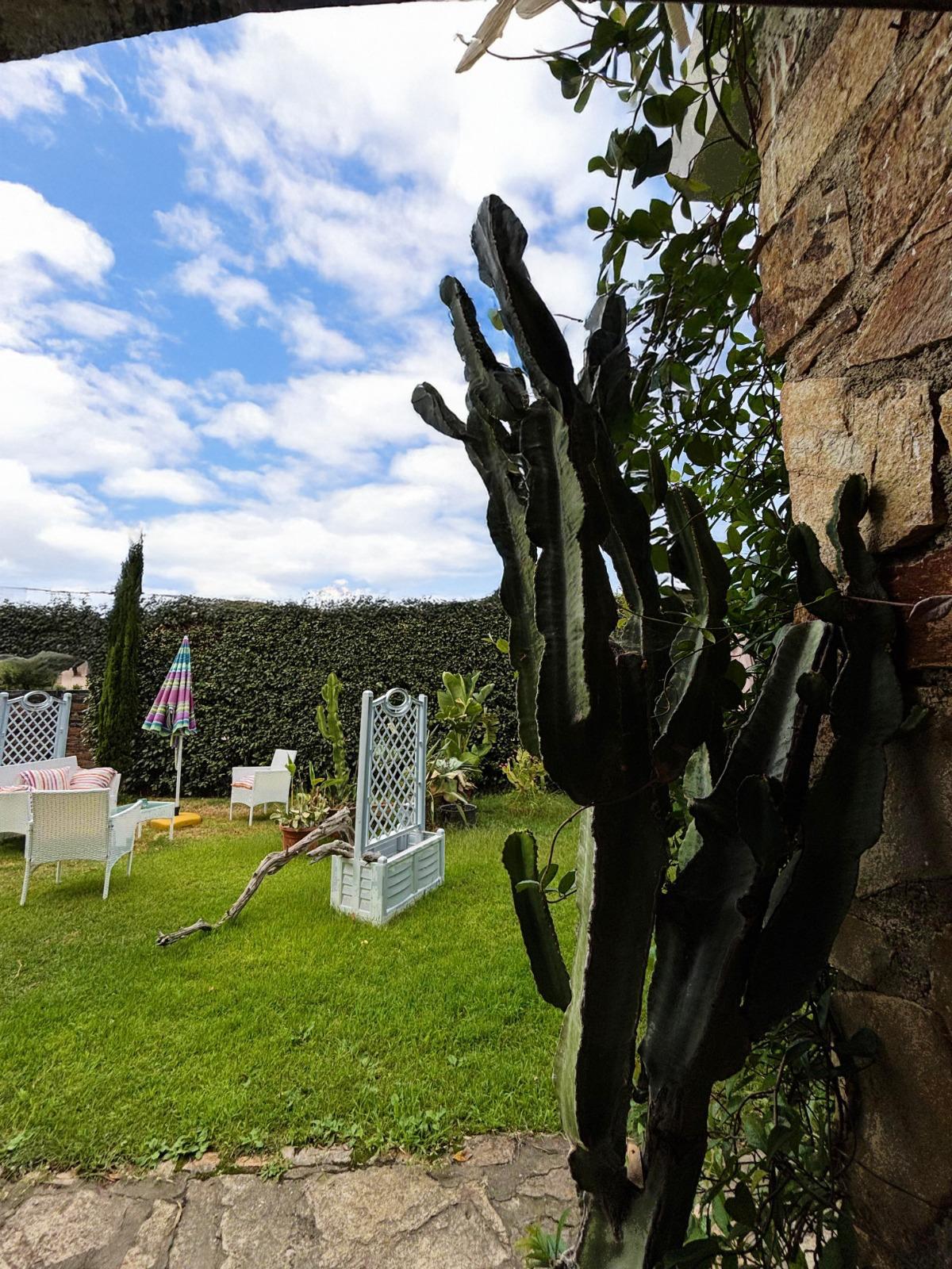 [ "GARDEN OASIS" // SAN TEODORO ]