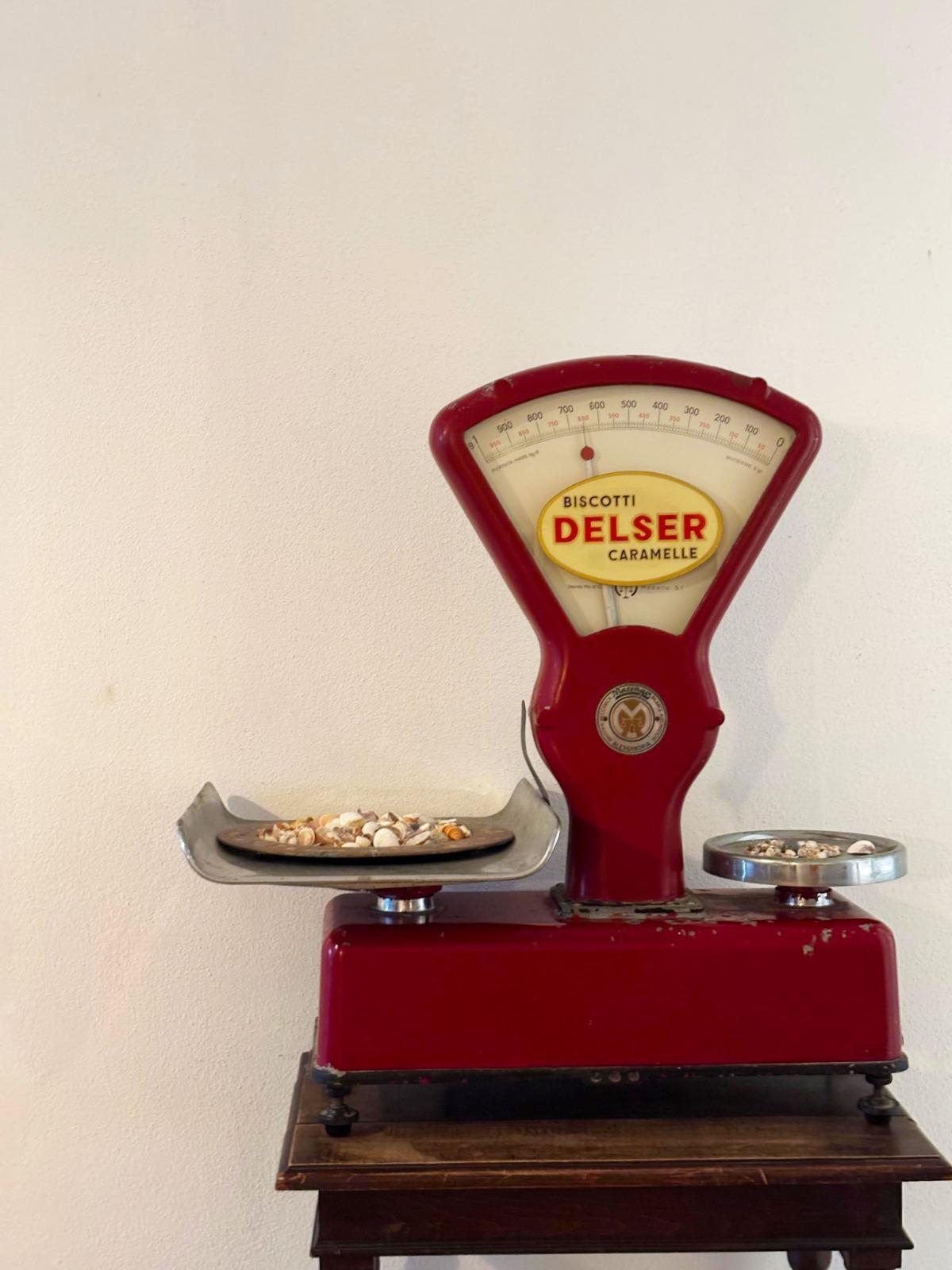 [ "GARDEN OASIS" // SAN TEODORO ]